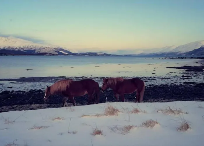 Lejlighed Of Lyngen Panorama