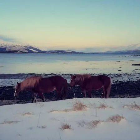 Apartment Of Lyngen Panorama